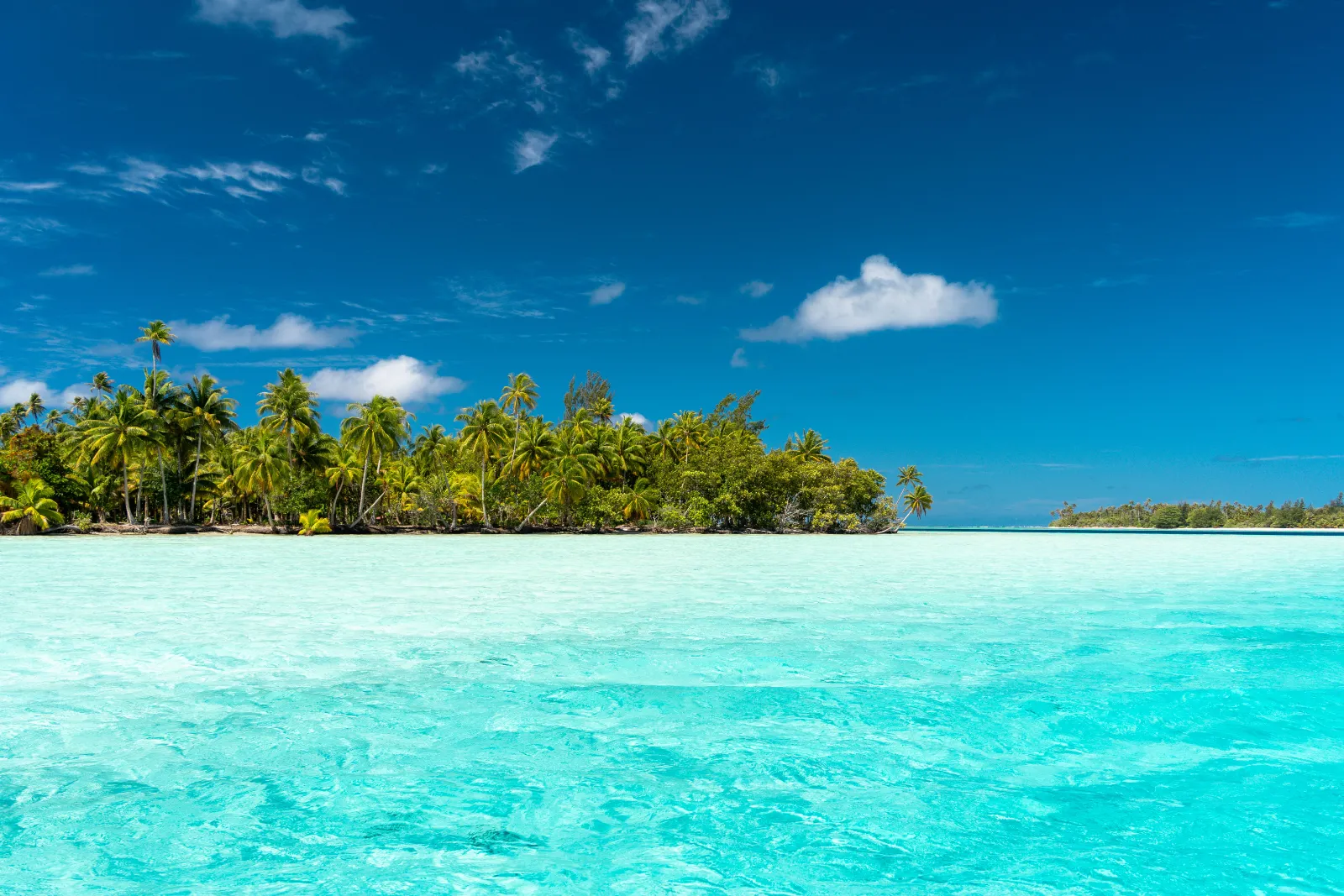 Laguna tropicale, Ticket Travel Lungo Raggio: viaggi intercontinentali per incentive aziendali