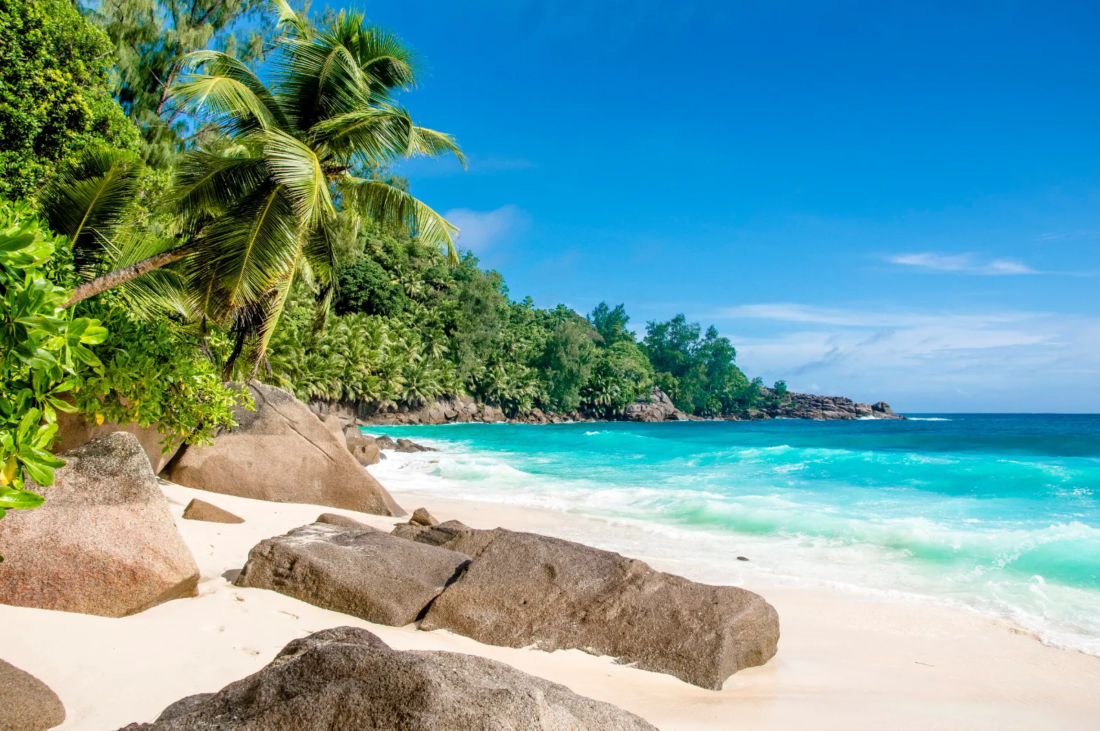 Spiaggia tropicale